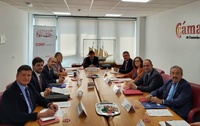 El consejero de Medio Ambiente, Universidades, Investigación y Mar Menor, Juan María Vázquez, participa en la reunión del Consejo Rector de la Universidad...