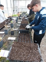 Estudiantes de los Ciclos Formativos en Producción Agroecológica y Aprovechamiento y Conservación del Medio Natural inoculan hongos a especies vegetales...