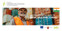 Misión Comercial a India