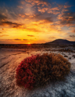 Una de las fotograf&iacute;as gaUna de las fotograf&iacute;as ganadoras en el concurso celebrado en 2024, realizada en el desierto de Mahoya (Abanilla).&nbsp;nadoras...