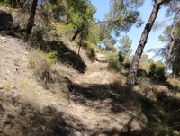 Sendero Estepar en el Parque Regional de Sierra Espu&ntilde;a