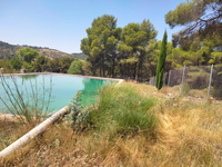 Balsa que suministra agua al reservorio de plantas arom&aacute;ticas en el antiguo vivero forestal del Monte de 'El Bebedor', en Moratalla