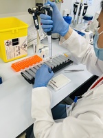 La apuesta por nuevos tratamientos y terapias frente al c&aacute;ncer liderada por el Servicio Murciano de Salud se refuerza con este proyecto estrat&eacute;gi...