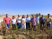 Imagen de la consejera en una finca donde se cultiva pimiento para la elaboraci&oacute;n de piment&oacute;n
