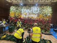 Desmontaje del mural frutal del estand de la Región en San Sebastián Gastronomika.