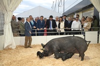 El presidente del Gobierno regional, Fernando López Miras, durante la inauguración de la 58ª edición de la feria Sepor (I)