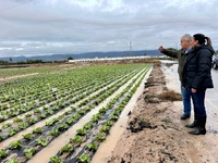 Imagen de la consejera Sara Rubira junto al alcalde de Totana, Juan Pagan, en uno de los campos de hortalizas anegados por las lluvias del pasado...