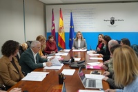 La consejera de Pol&iacute;tica Social, Familias e Igualdad, Conchita Ruiz, preside el pleno del Consejo Asesor Regional de Personas Mayores