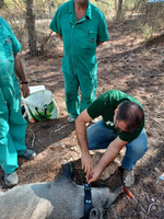 Miembros del equipo investigador durante los trabajos de seguimiento.