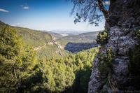 Panor&aacute;mica del barranco de Hondares en la sierra de Moratalla.