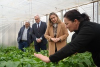 La consejera de Pol&iacute;tica Social, Familias e Igualdad, Conchita Ruiz, junto con el alcalde de Torre Pacheco, Pedro &Aacute;ngel Roca, visitando la explotaci&oacute;n...