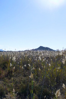 Vista del monte El Carmol&iacute;.