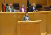 La consejera de Pol&iacute;tica Social, Familias e Igualdad, Conchita Ruiz, durante su intervenci&oacute;n en la Comisi&oacute;n General de las Comunidades Aut&oacute;nomas,...