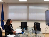 Imagen de la consejera Sara Rubira durante la reuni&oacute;n de Conferencia Sectorial telem&aacute;tica mantenida durante esta ma&ntilde;ana con el ministro Luis Plan...