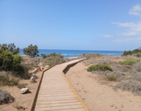 Acceso a la playa de Calblanque
