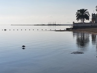 Mar Menor en la zona de Los Urrutias