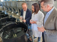 Imagen de la consejera Sara Rubira, durante su visita a las instalaciones acu&iacute;colas del IMIDA en San Pedro del Pinatar.&nbsp;