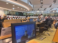 El director general de Uni&oacute;n Europea, Adri&aacute;n Zittelli, interviene en la Comisi&oacute;n de Recursos Naturales (NAT) del Comit&eacute; Europeo de las Regiones.