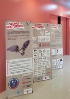 Exposici&oacute;n dedicada a los murci&eacute;lagos en la Sierra de La Pila (imagen de archivo).