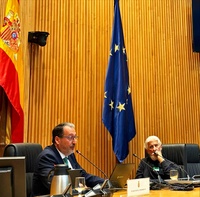 El director general de Ordenaci&oacute;n del Territorio y Arquitectura, Javier Roll&aacute;n, durante su ponencia sobre inundaciones en el Congreso de los Dipu...