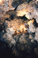 Cueva de La Matea en Sierra Espu&ntilde;a
