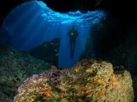 Submarinismo en las aguas de la Costa C&aacute;lida.