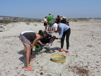 Voluntarios realizando una actuaci&oacute;n de la campa&ntilde;a en la playa de La Llana de San Pedro del Pinatar