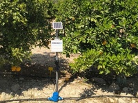 Uno de los equipos inteligentes instalados en la Comunidad de Regantes El Porvenir para monitorizar el riego y ayudar a reducir las p&eacute;rdidas de agua...
