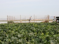 Imagen del Sistema de Informaci&oacute;n Agrario de Murcia (SIAM), ubicado en Cieza.