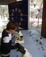 El taller 'El minimundo del bosque: refugio clim&aacute;tico' organizado el pasado a&ntilde;o en el &Aacute;rea de Educaci&oacute;n Ambiental del Centro de Recuperaci&oacute;n de Fauna...