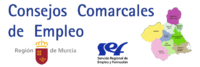 Consejos comarcales de empleo