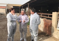 El consejero de Agua, Agricultura, Ganadería y Pesca visita las instalaciones de una explotación porcina de chato murciano en Lorca