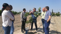 Miembros del Consulado de Ecuador en Murcia durante su visita a las instalaciones del Cifea de Molina de Segura