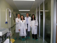 Profesionales de la Unidad de Trasplante de Médula Ósea del Hospital Universitario Morales Meseguer