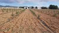 Centro de Demostración Agraria (CDA) Las Nogueras (Caravaca)