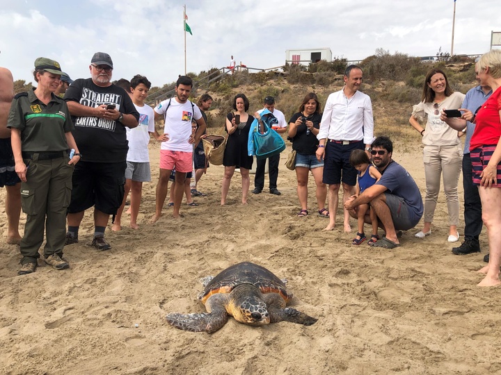 El consejero de Empleo, Universidades, Empresa y Medio Ambiente en funciones, Javier Celdrán, durante la liberación en Águilas de un ejemplar de tortuga boba tratada en el Centro de Recuperación de Fauna Silvestre de El Valle (I)