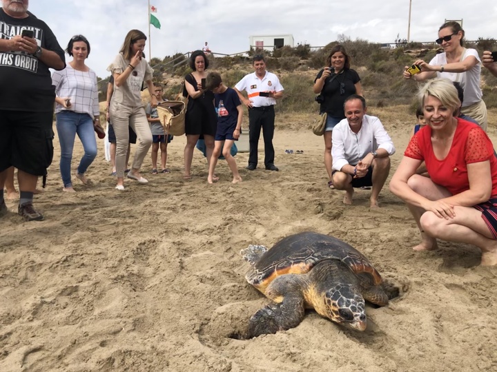 El consejero de Empleo, Universidades, Empresa y Medio Ambiente en funciones, Javier Celdrán, durante la liberación en Águilas de un ejemplar de tortuga boba tratada en el Centro de Recuperación de Fauna Silvestre de El Valle (II)