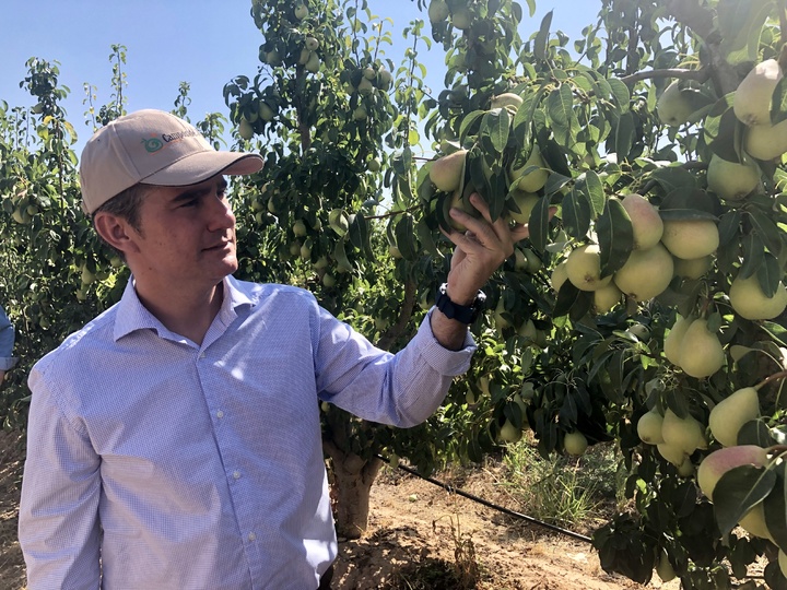 Miguel Ángel del Amor durante su visita a la Cooperativa Hortofrutícola Campos de Jumilla ( y 2)