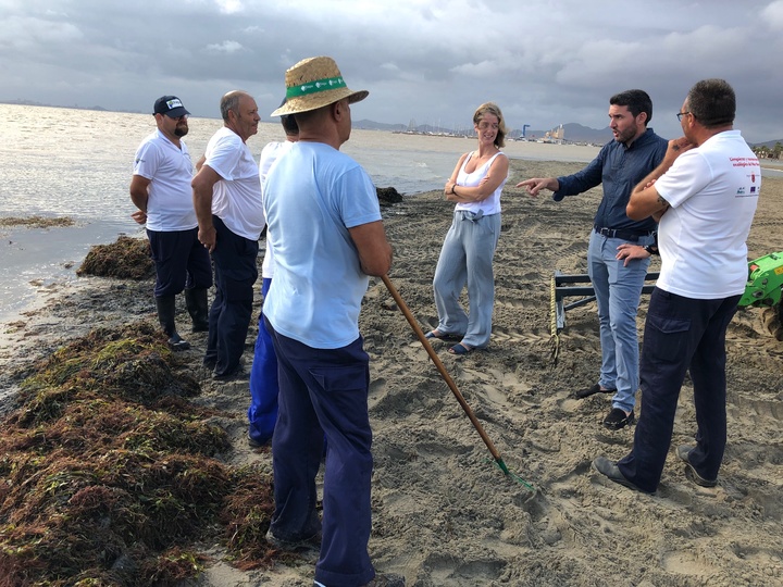 El consejero de Agua, Agricultura, Ganadería, Pesca y Medio Ambiente, Antonio Luengo, acompañado por la concejal de Infraestructuras, Servicios y Litoral, María Luisa Casajús, supervisó las labores que las brigadas de limpieza de la Comunidad Autónoma llevan a cabo en el Mar Menor