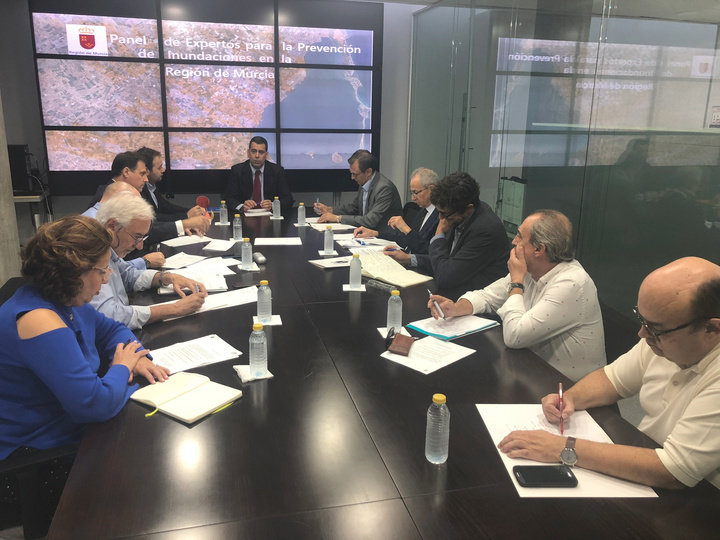 Reunión del Panel de Expertos