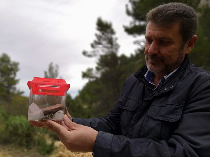 Medio Natural libera 15 ejemplares de sapo partero bético en Sierra Espuña tras desarrollarse en un acuario para asegurar su supervivencia