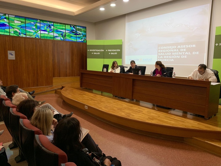 Pleno del Consejo asesor regional de Salud Mental