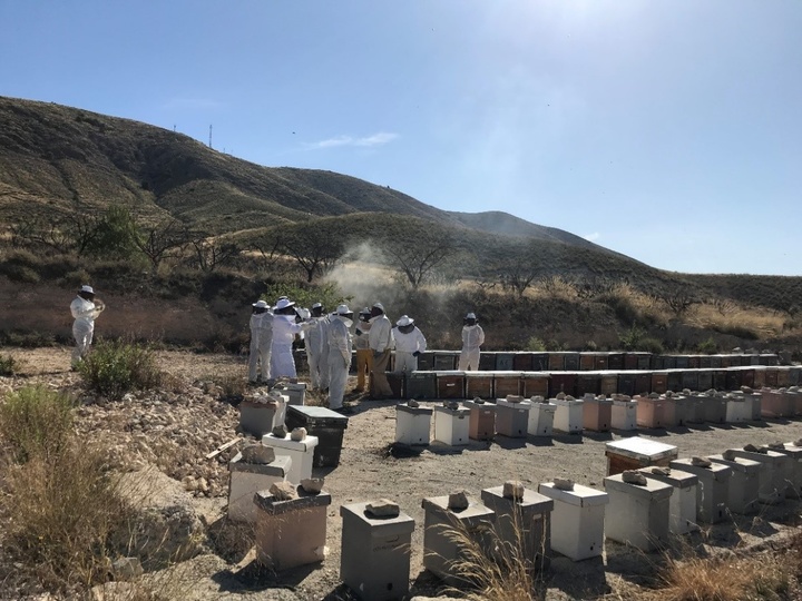 Curso de Procedimientos Actualizados de Tratamientos Sanitarios en Colmenas 4