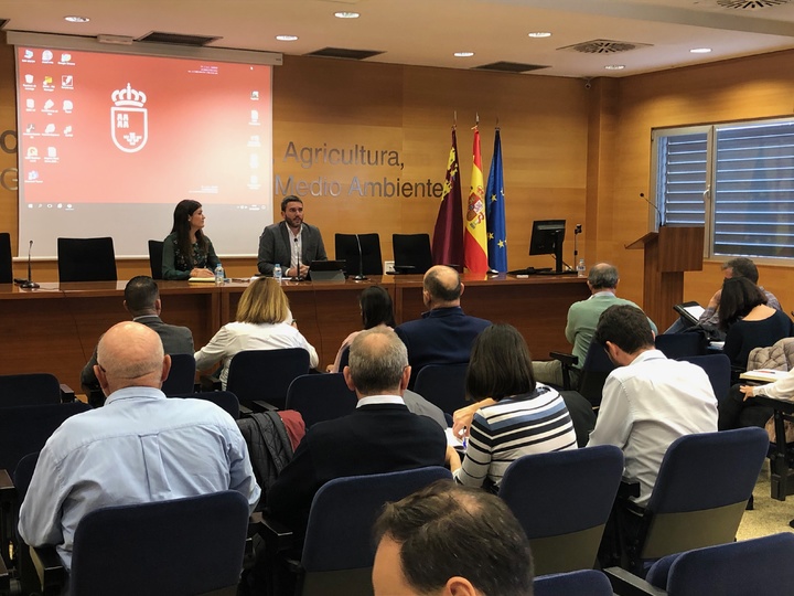 El consejero de Agua, Agricultura, Ganadería, Pesca y Medio Ambiente, Antonio Luengo, durante la Comisión de Seguimiento del Mar Menor