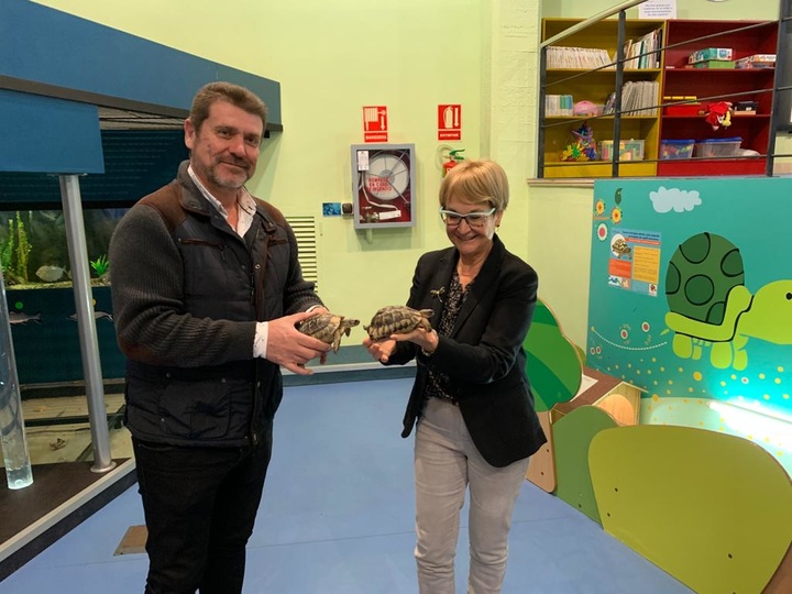Medio Ambiente cede dos ejemplares de tortuga mora al Museo de la Ciencia y el Agua de Murcia