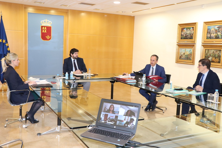 Reunión del Consejo de Gobierno por vía telemática (1)