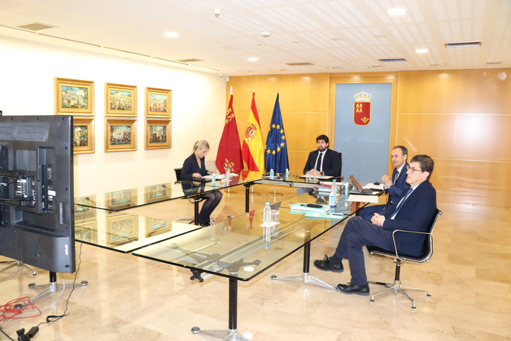 Reunión del Consejo de Gobierno por vía telemática (2)