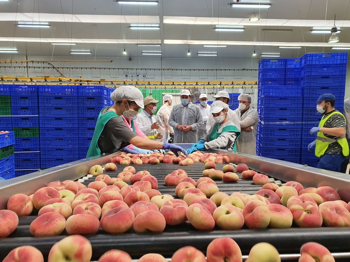 Antonio Luengo visita las instalaciones de Alimer y destaca la apuesta por la modernización e innovación del sector agroalimentario