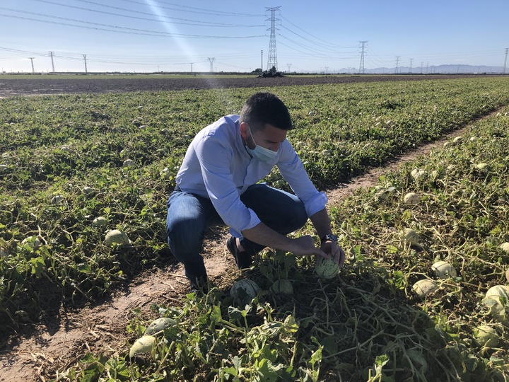 El consejero de Agricultura visita la zona más afectada por el granizo del lunes y cifra los daños en más de 7 millones de euros