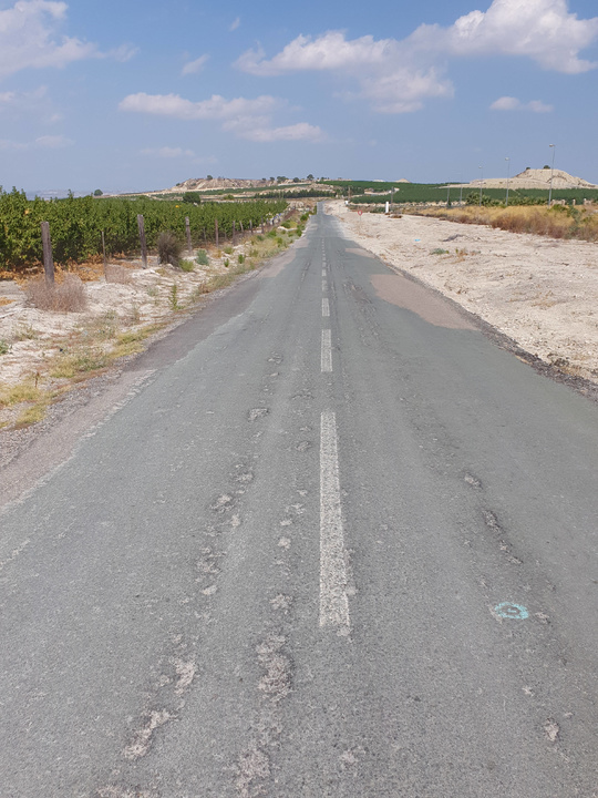 Imagen reciente de la carretera regional RM-531, que une Campos del Río y Alguazas (2)